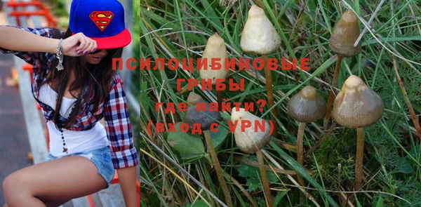 амф Бронницы