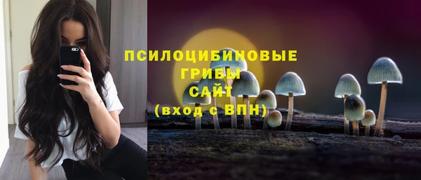 амф Бронницы