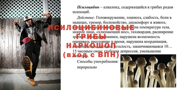 COCAINE Бородино
