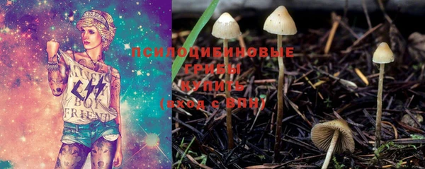 амф Бронницы