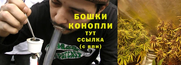 амф Бронницы