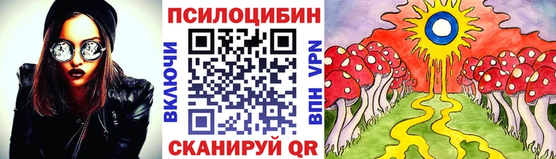 Купить  Суджа  Галлюциногенные грибы GOLDEN TEACHER 